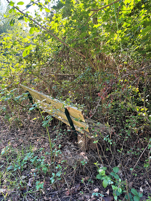 HBM - Es gibt keine Raucher mehr ? HBM - Es gibt keine Raucher mehr ?