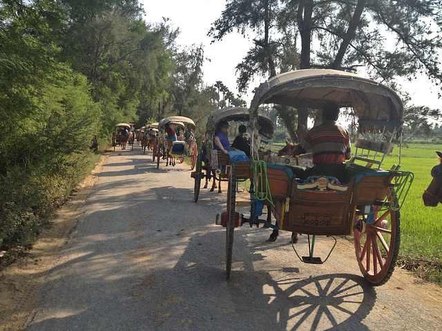 touring by horse and cart