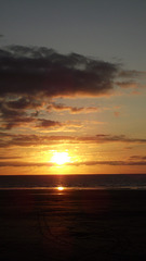 DSCF6880