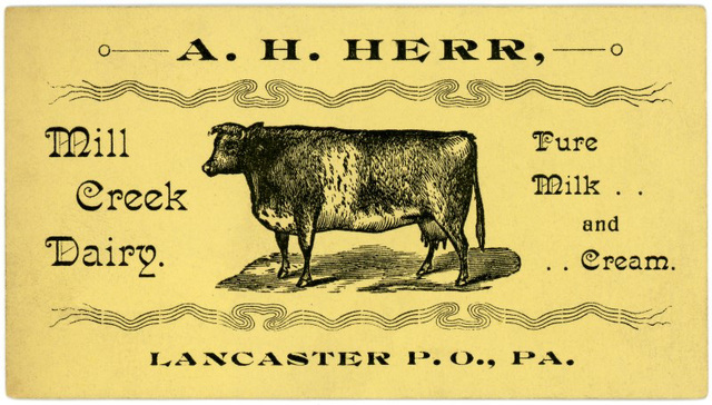 A. H. Herr, Mill Creek Dairy, Lancaster, Pa.