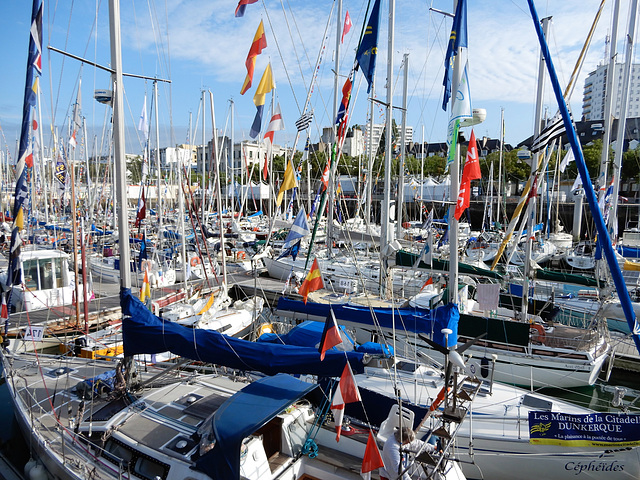 route de l'amitié 2019 LORIENT (56)