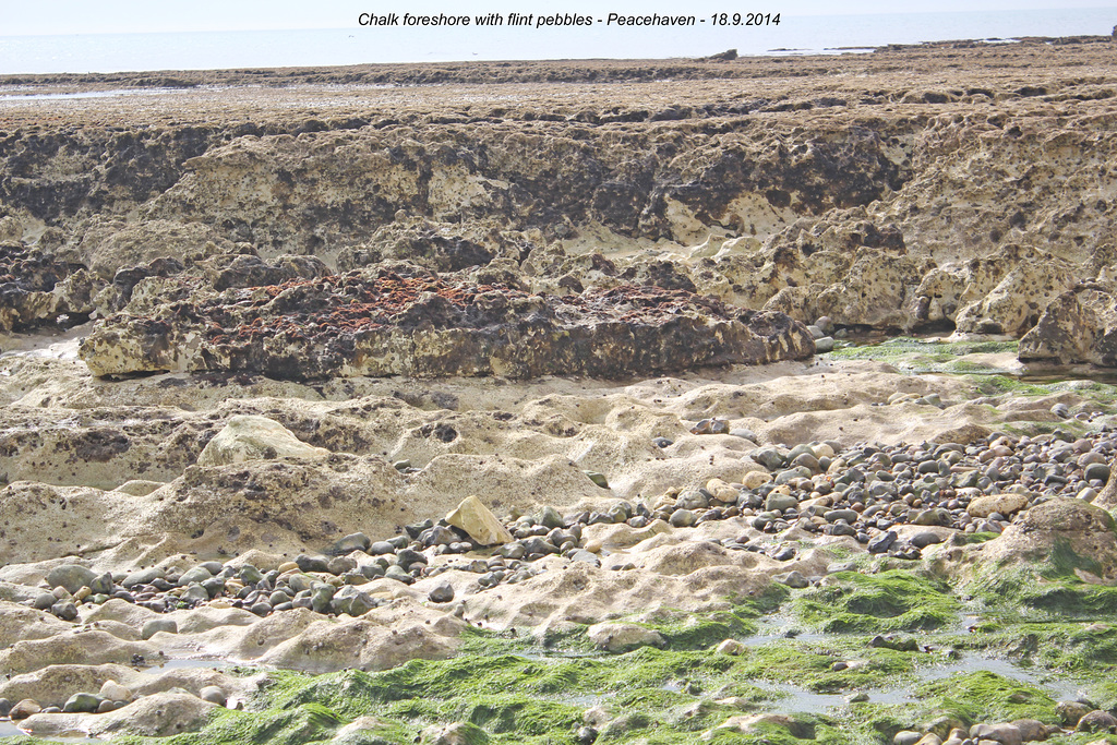 Chalk foreshore Peacehaven 18 9 2014