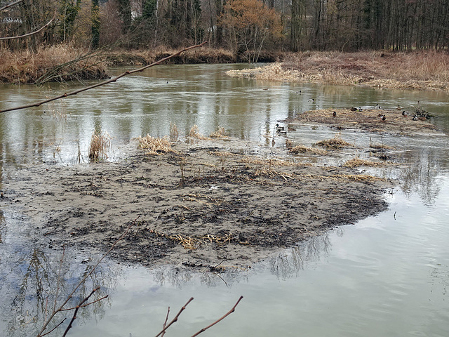 Wo Enten sich Treffen