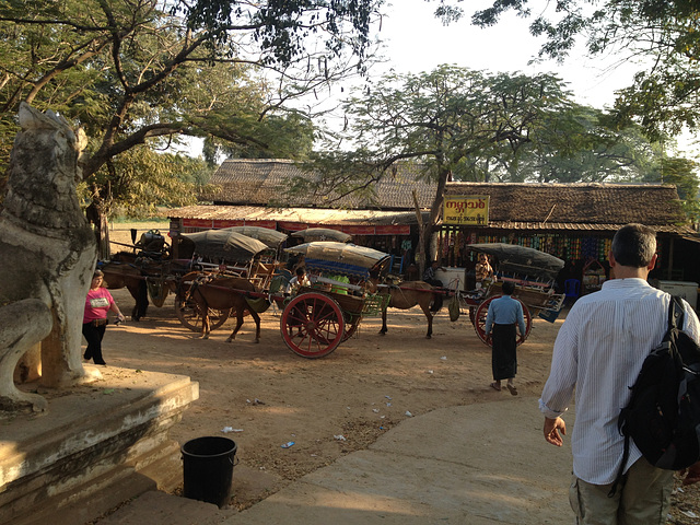 touring by horse and cart