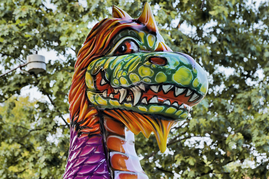 Plastic Dragon – Labor Day Festival, Greenbelt, Maryland