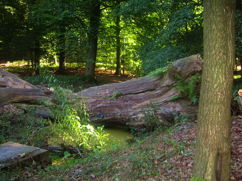 Musée plein air à Arnhem