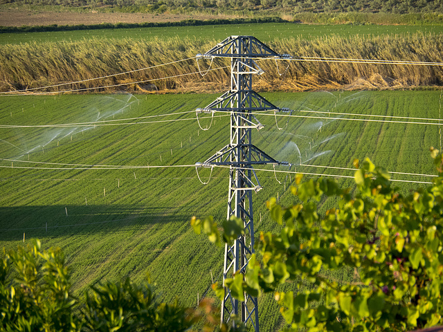 Pastoral Power