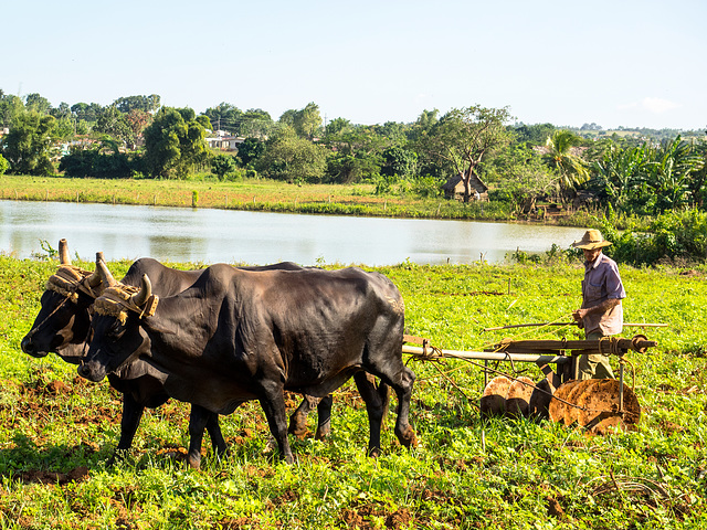 Valle de Viñales, Cuba