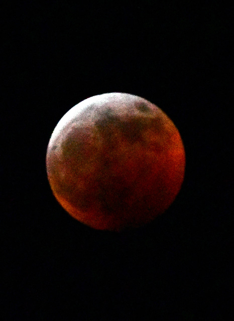 Super bloody big bad wolf moon eclipse