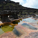 Venezuela, Water Pool at the Surface of the Tepui of Roraima