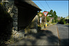 Garsington bus shelter