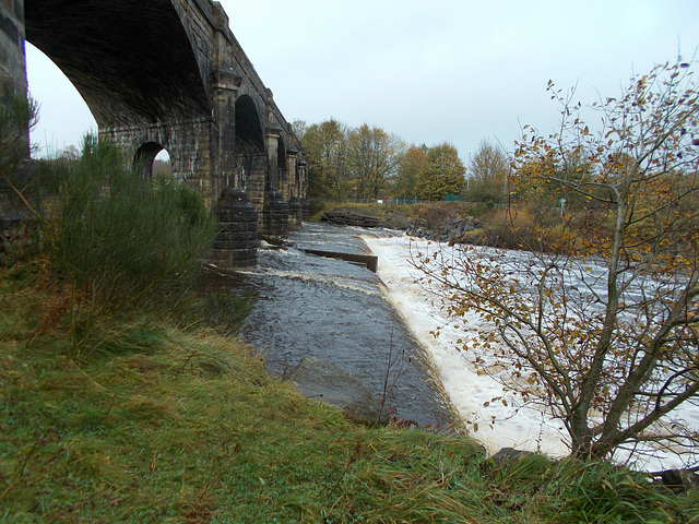 aav - Walk over the arches : 28Oct2024 {1 of 9}