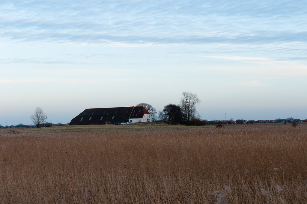 Nordsee-8