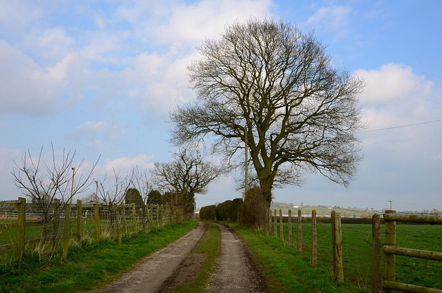 Mayo Farm, Haughton