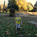 la campagne en automne ,