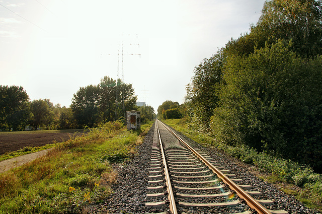 Werne–Bockum-Höveler Bahnstrecke (Hamm-Bockum-Hövel) / 13.10.2019