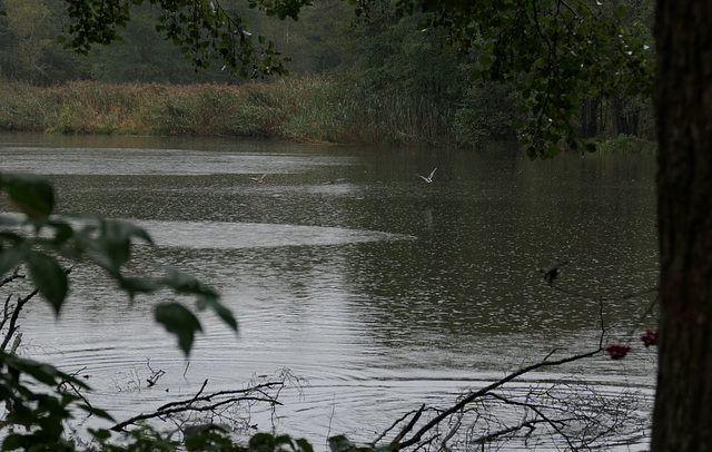 Blauseufzerweiher