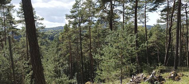 Fränkischer Gebirgsweg Betzenstein - Hormersdorf