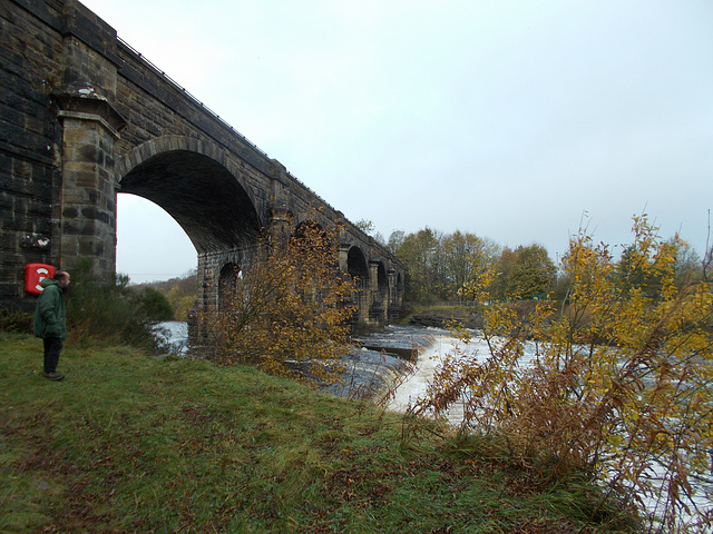 aav - Walk over the arches : 28Oct2024 {2 of 9}