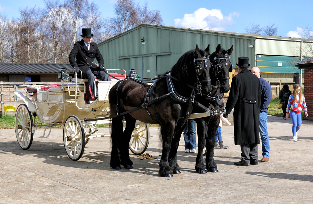 Walford carriage