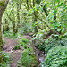 Tributary of Penn Brook flowing through Park Coppice