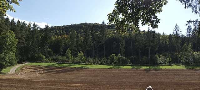 Fränkischer Gebirgsweg Betzenstein - Hormersdorf