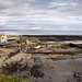 Step Rock Tidal Pool