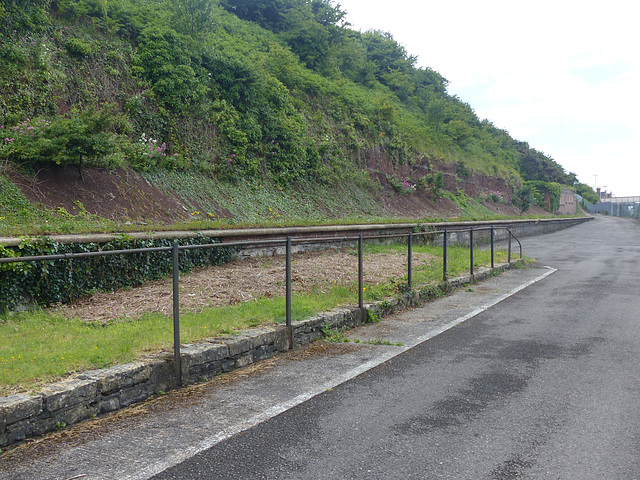 The Road to Barry Pier (3) - 28 June 2015