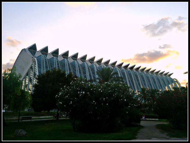 Valencia: Museo de las Ciencias Príncipe Felipe, 1