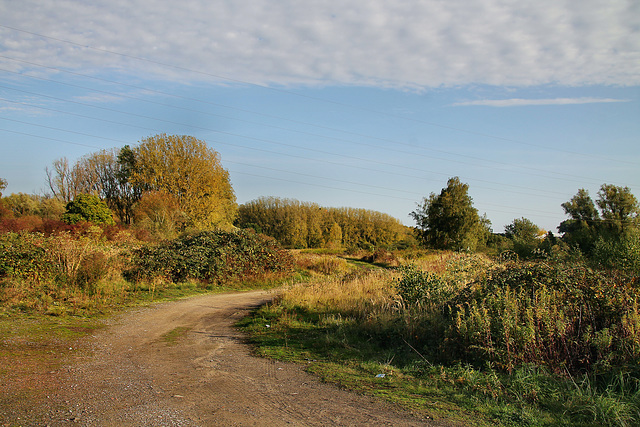 Herbstliche Landschaft bei Bockum-Hövel (Hamm) / 13.10.2019