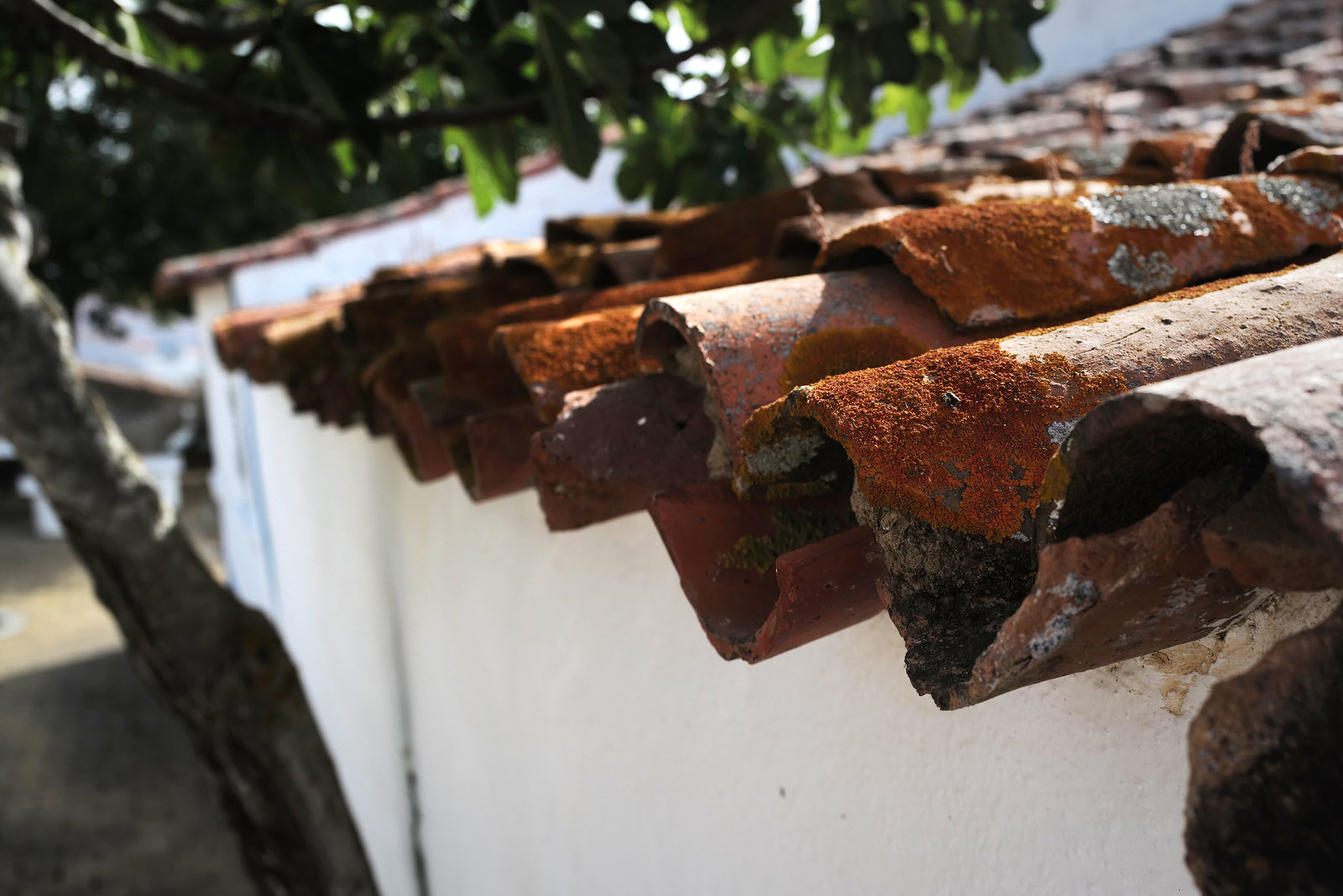 Penedos, Roof