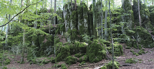 Fränkischer Gebirgsweg Betzenstein - Hormersdorf