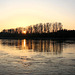 Abendstimmung am Rhein