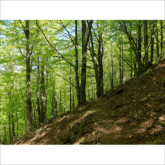 Randonnée sur les Pyrénées-Orientales.