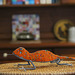 gecko