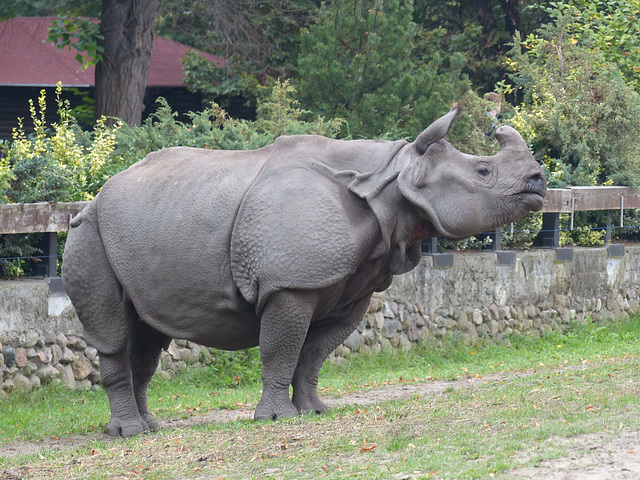 Warsaw Zoo (13) - 21 September 2015