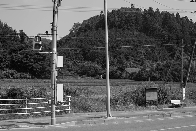 Stoplight in the countryside