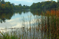 The lake at Blenheim Palace