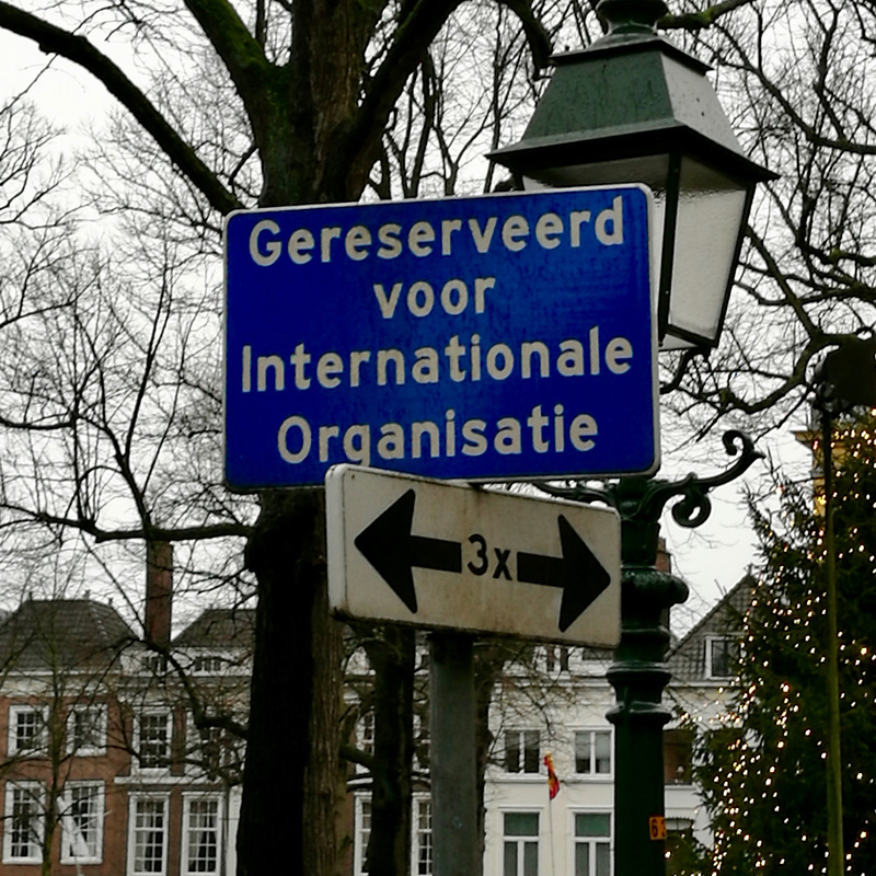 The Hague 2017 – Reserved for International Organisation