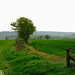 Looking towards Sedgley Beacon from the footpath near Penwood Farm