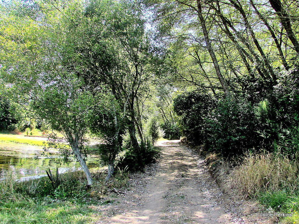 Path at Sandy Bay.