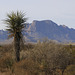 Chisos Mountains