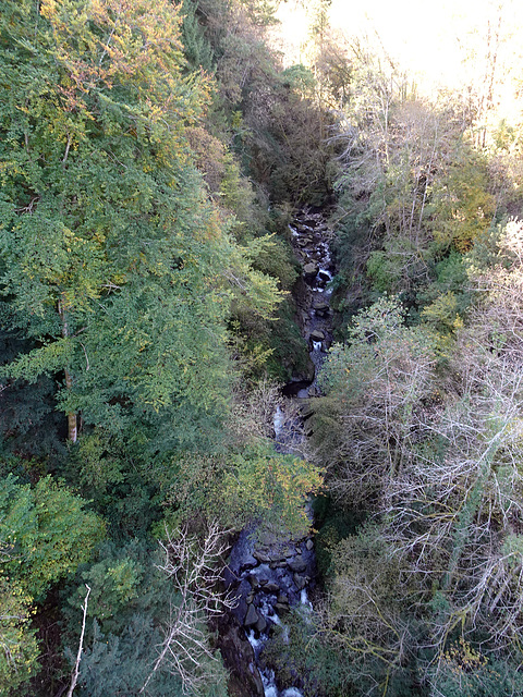 Der Fluss La Vièze aus 60 metern Höhe, aufgenommen von der Hängebrücke