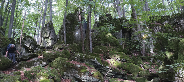 Fränkischer Gebirgsweg Betzenstein - Hormersdorf