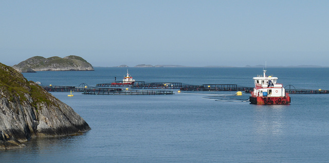 Arctic Circle Fish Farm