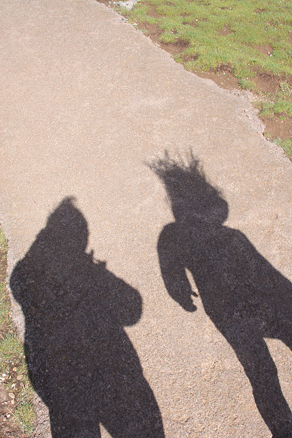 Wind blown shadows