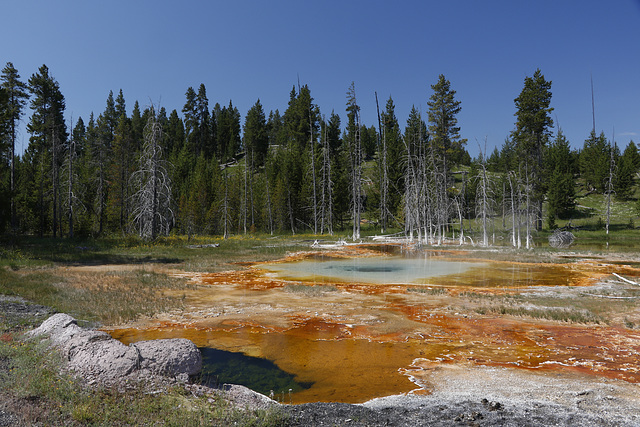 Upper Geyser Basin