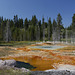 Upper Geyser Basin