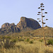 Chisos Mountains