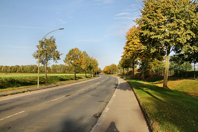 Wittekindstraße (Hamm-Bockum-Hövel) / 13.10.2019